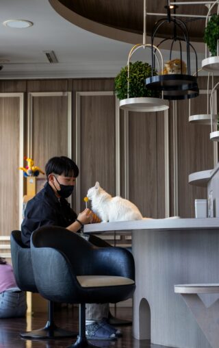 あなたの評価を下げているかも？職場や友人に潜む「バックハンドコンプリメント」の見抜き方と対処術