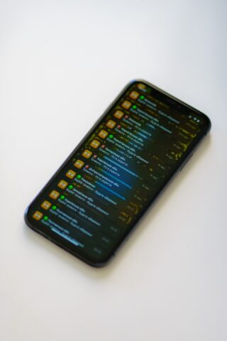 【扁桃体（へんとうたい）】脳の“警報装置”の正体と、なだめる方【とろLab用語集】