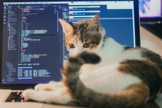 【脳のハッキング】あなたの“願い”を現実に変える、脳のセルフプログラミング術
