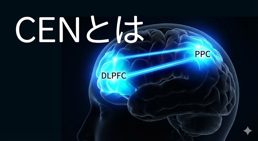 CEN（中央実行ネットワーク）とは？DMNと対をなす「集中」と「思考」の実行回路