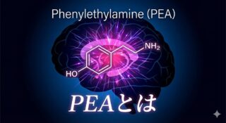 フェニルエチルアミン（PEA）とは？恋の病を引き起こす「脳内の天然覚醒剤」