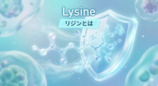 リジン（Lysine）とは？　組織修復と抗ウイルス作用を担う必須アミノ酸