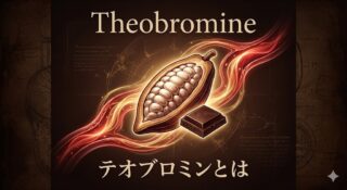 テオブロミンとは？カカオに含まれる「優しき覚醒物質」と血管拡張作用