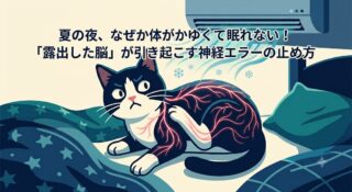 夏の夜、なぜか体がかゆくて眠れない！「露出した脳」が引き起こす神経エラーの止め方
