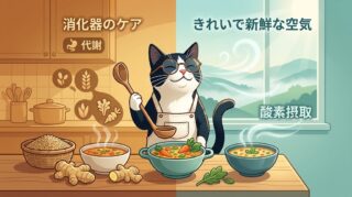 【お腹の肉と浅い呼吸】テストステロンを奪う「痰湿」と「乾燥」の罠。胃腸を温め、気道を潤すインプット養生術