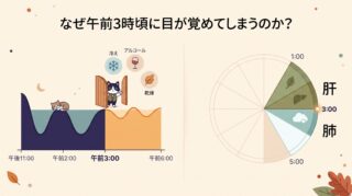 【なぜ夜中3時に目が覚めるのか?】時計を見て焦るあなたへ。東洋医学の「体内時計」と睡眠科学で解く中途覚醒の正体と深夜のレスキュー術