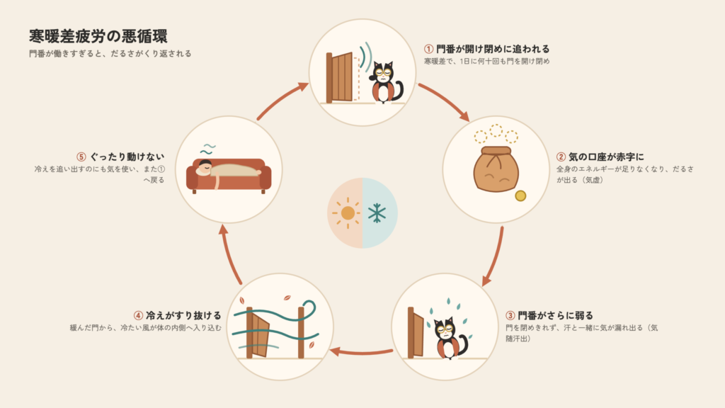 【寒暖差疲労の悪循環 · 5つのステップ】① 気温差の乱高下（7℃以上）↓② 門番（自律神経）の過剰な開閉作業↓③ 全身の気が枯渇 ➔「気の赤字（気虚・だるさ）」↓④ 門を閉じきれず、汗とともに気が漏れ出る（気随汗出）↓⑤ 体表バリアが崩壊 ➔ 冷えが侵入し、さらに気を消耗する